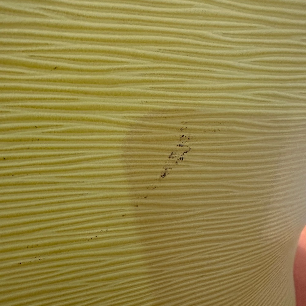 Louis Vuitton Citron Epi Neverfull Tote - Picture 10 of 17